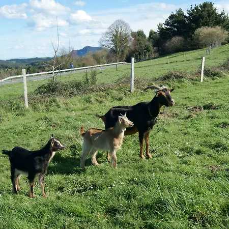 Arboliz Отель Ибаррангелуа