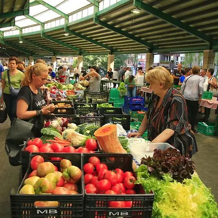 Arboliz Hotel Ibarrangelu