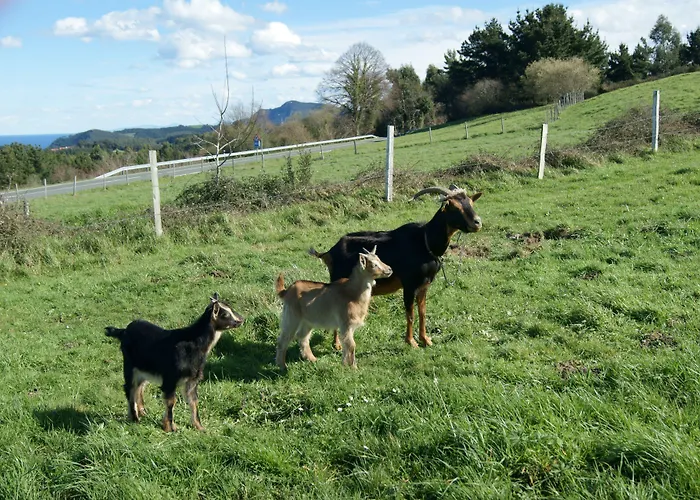 Arboliz Hotel Ibarrangelu