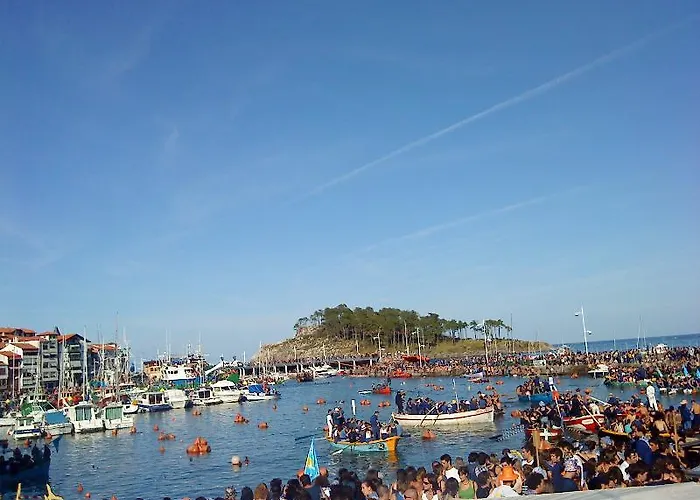 Arboliz 3* Ibarrangelu