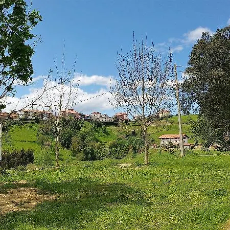 Casa rural Arboliz Ibarrangelu