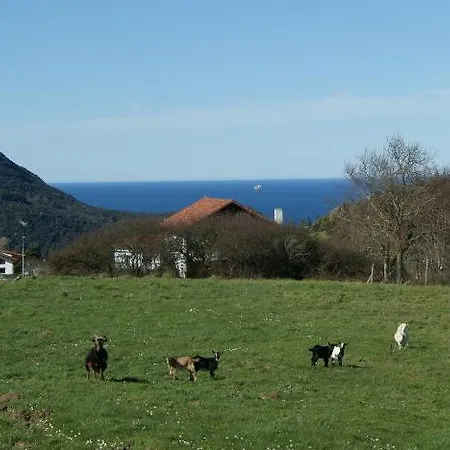 Arboliz Casa rural Ibarrangelu