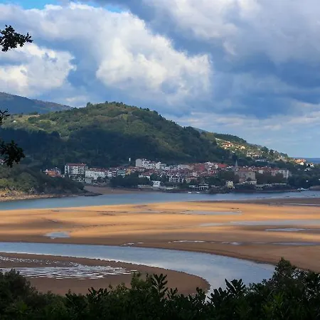 Arboliz