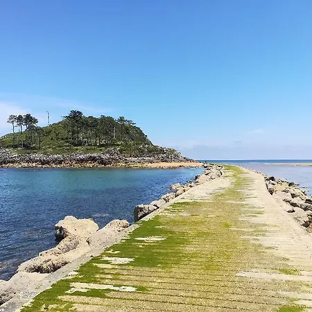 Arboliz Ibarrangelu